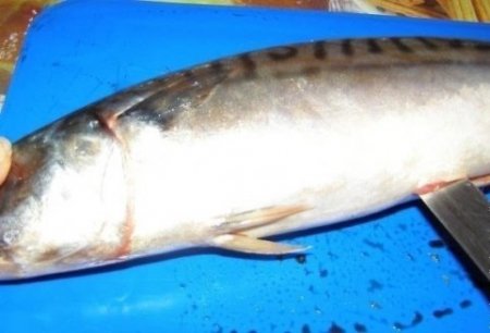 Скумбрия, запеченная в фольге.