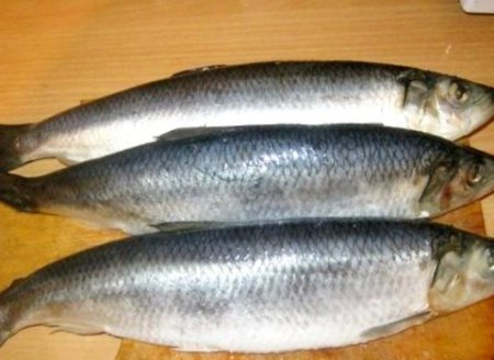 Сельдь пряного посола