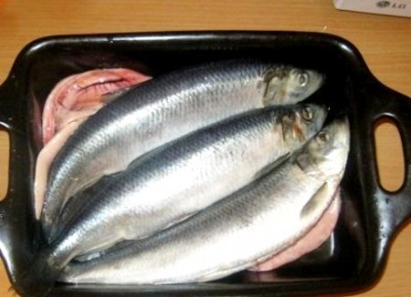 Сельдь пряного посола