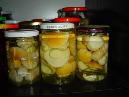 Маринуем белоснежные грибы