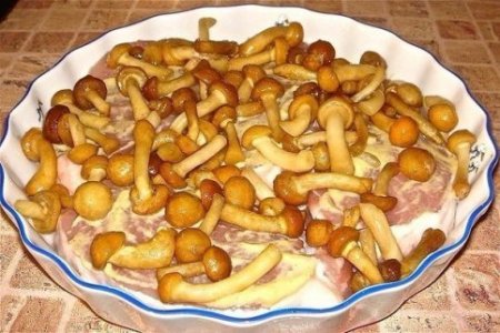 Мясо под шубкой