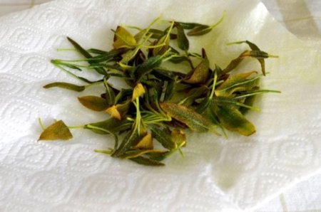 Фрикасе из зайчика